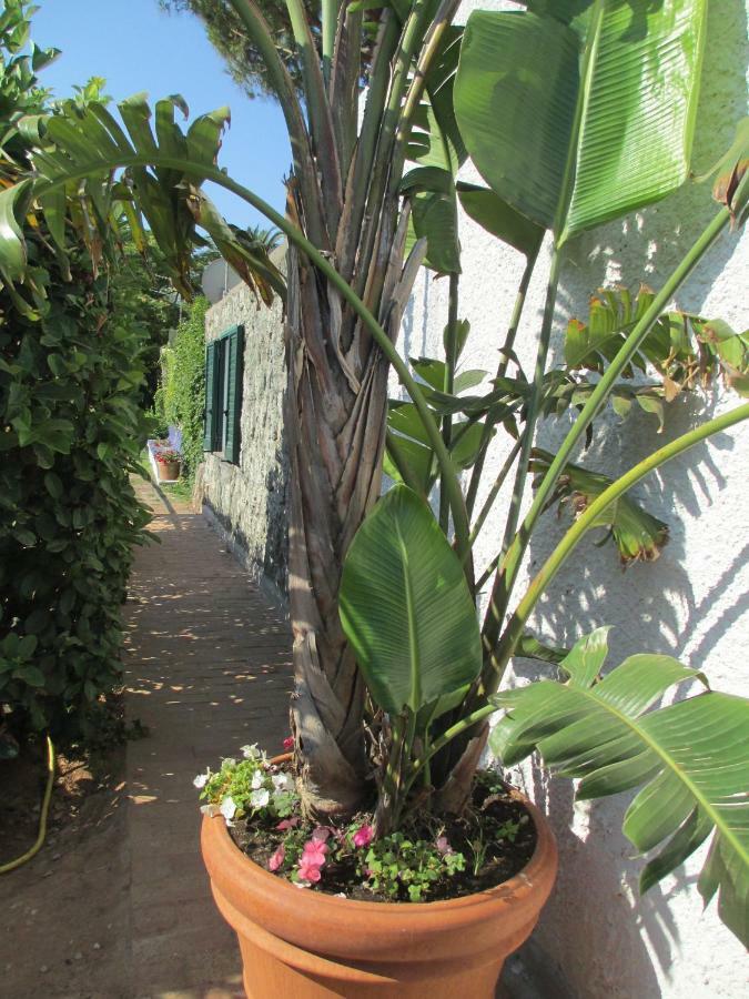 Appartamento Sporting Forio di Ischia 外观 照片